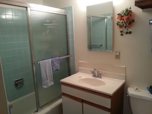 Master bath